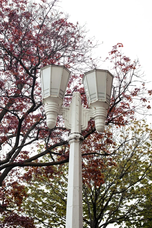 two lights on a pole next to a tree