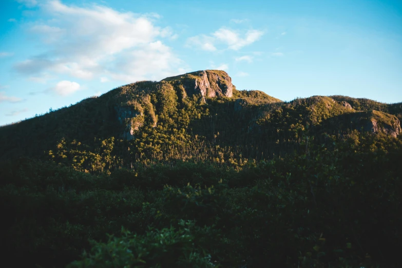 a mountain side, with trees on the sides and blue sky above