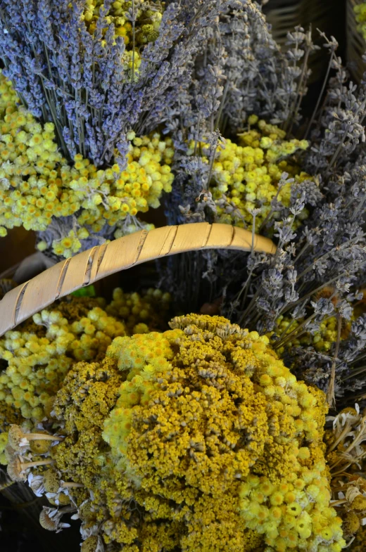 the flower is full of many different colorful leaves