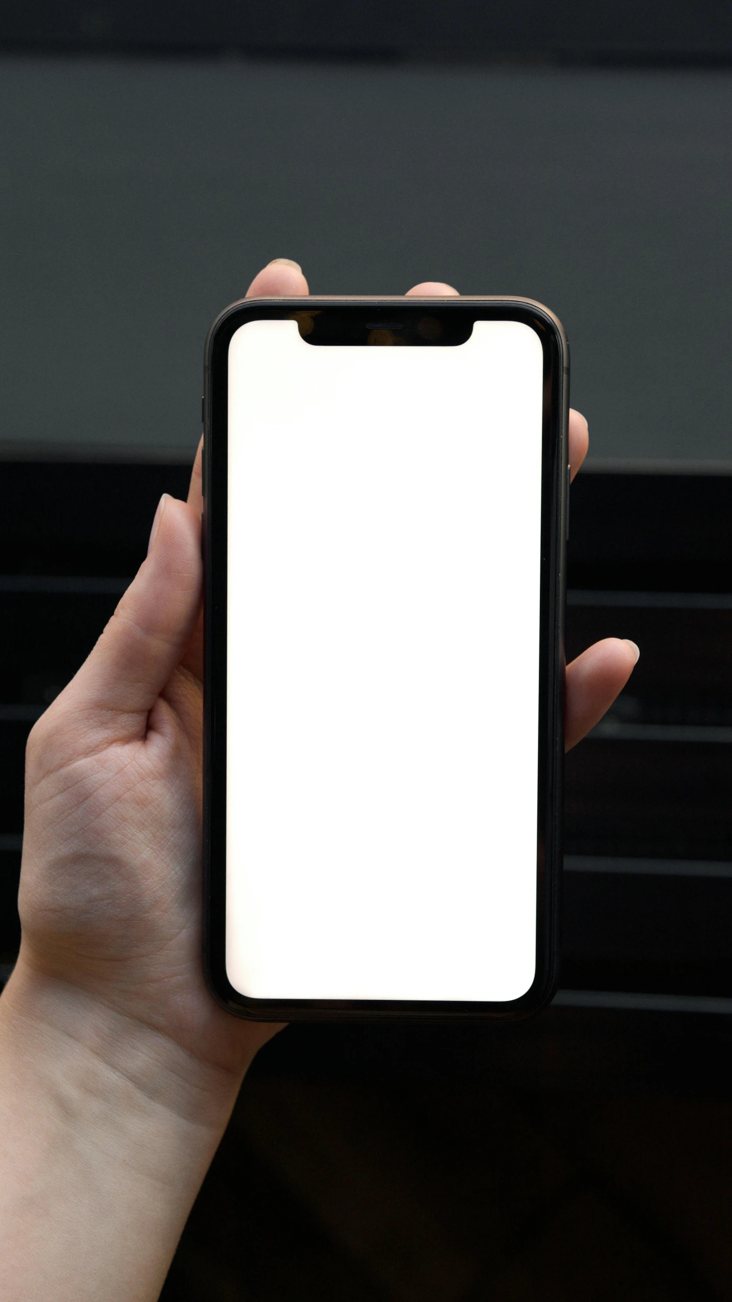 an iphone screen showing the white screen and a white space