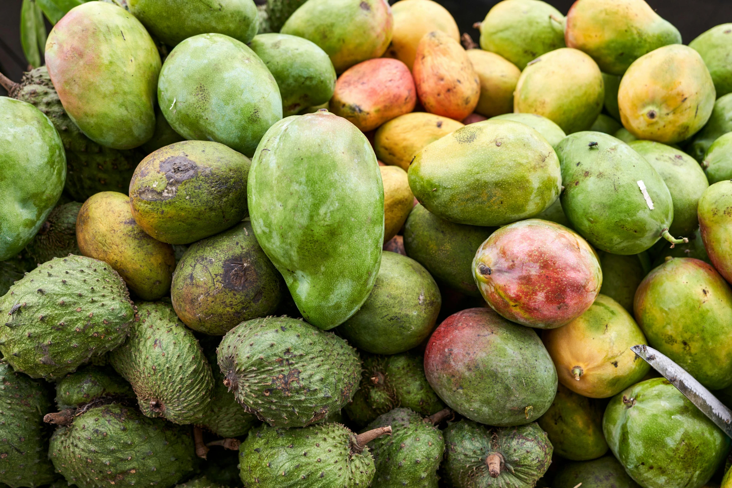 fresh fruit is piled up together for sale