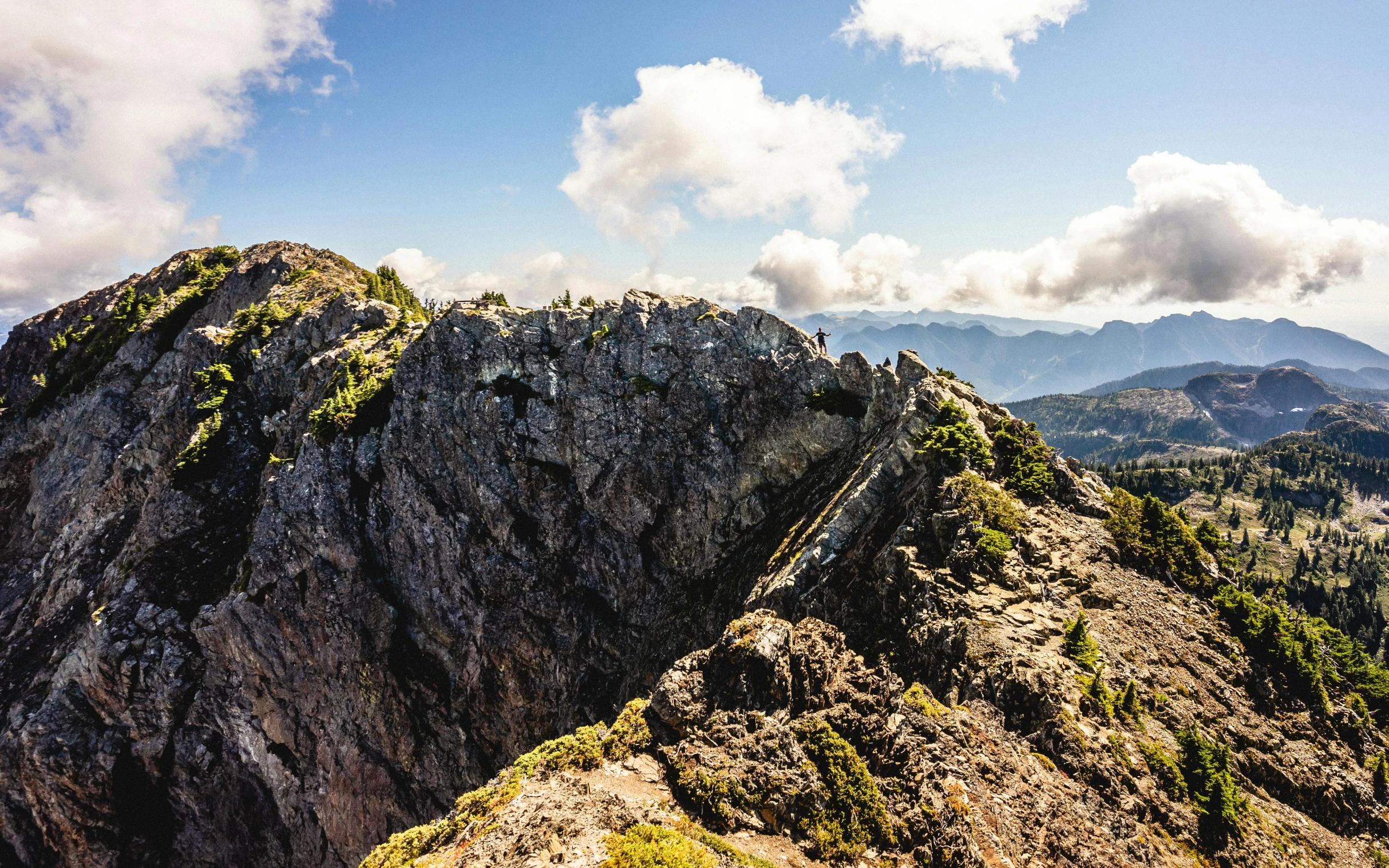 the steep ridge of a mountain is dotted with contemplative foliage