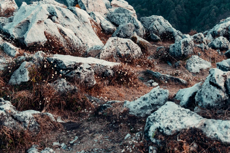 a grassy field with rocks covered in snow