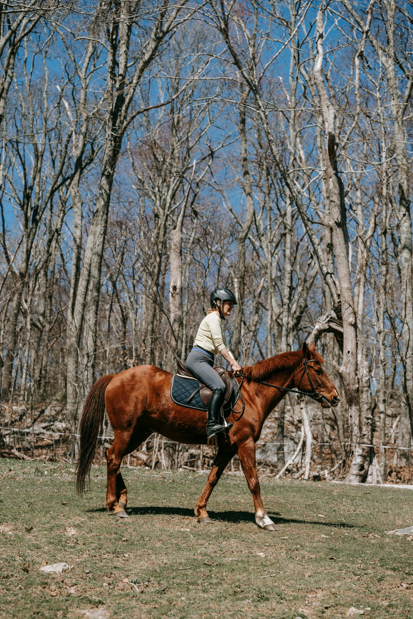 a man on a horse that is in the grass