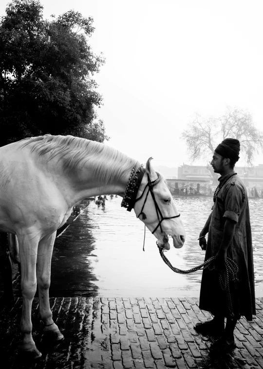 a woman is standing near a white horse