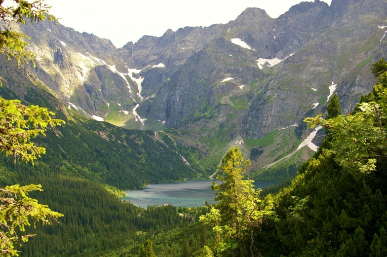 mountains covered in snow and trees next to a lake