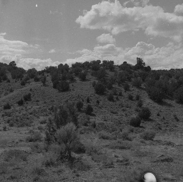 a black and white image of the side of a hill