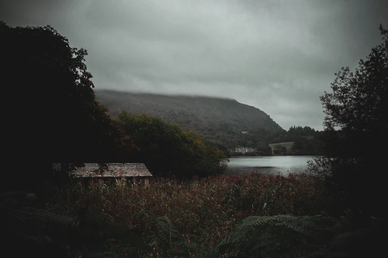 a body of water that is sitting next to a forest