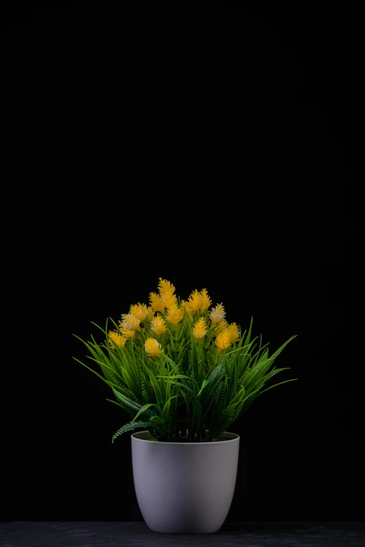 the yellow flowers in the white vase sit next to each other