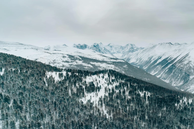 a snow covered mountain with many evergreen trees