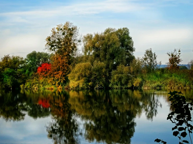 a lake surrounded by forest with bright orange trees