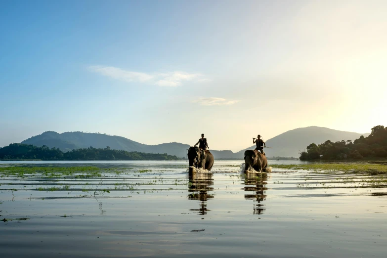 two people riding on the back of brown elephants