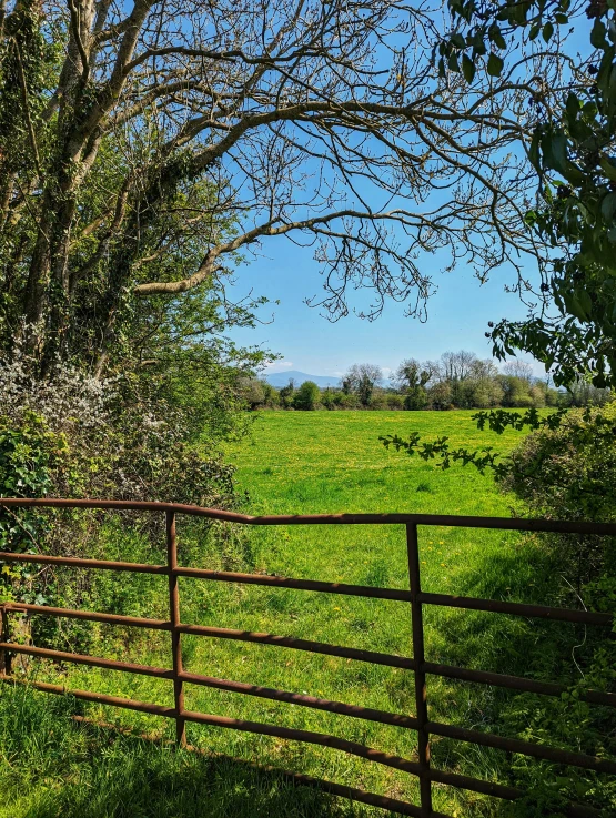 a wood fence in a field behind a wooden gate