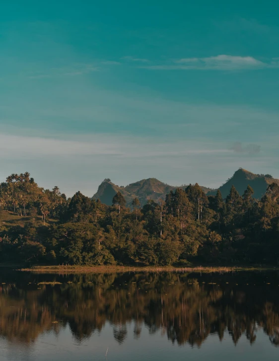 two trees are behind the mountain range in front of water