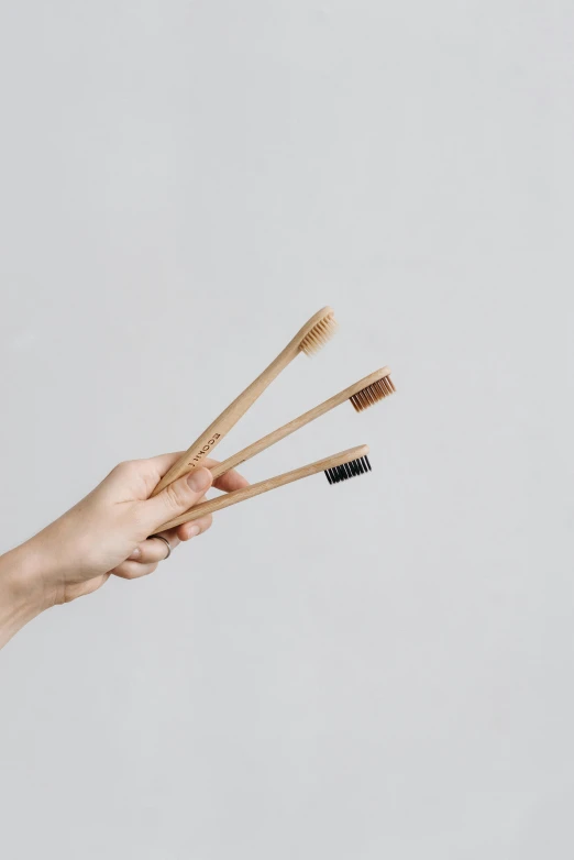 three toothbrushes in a hand with a gray background