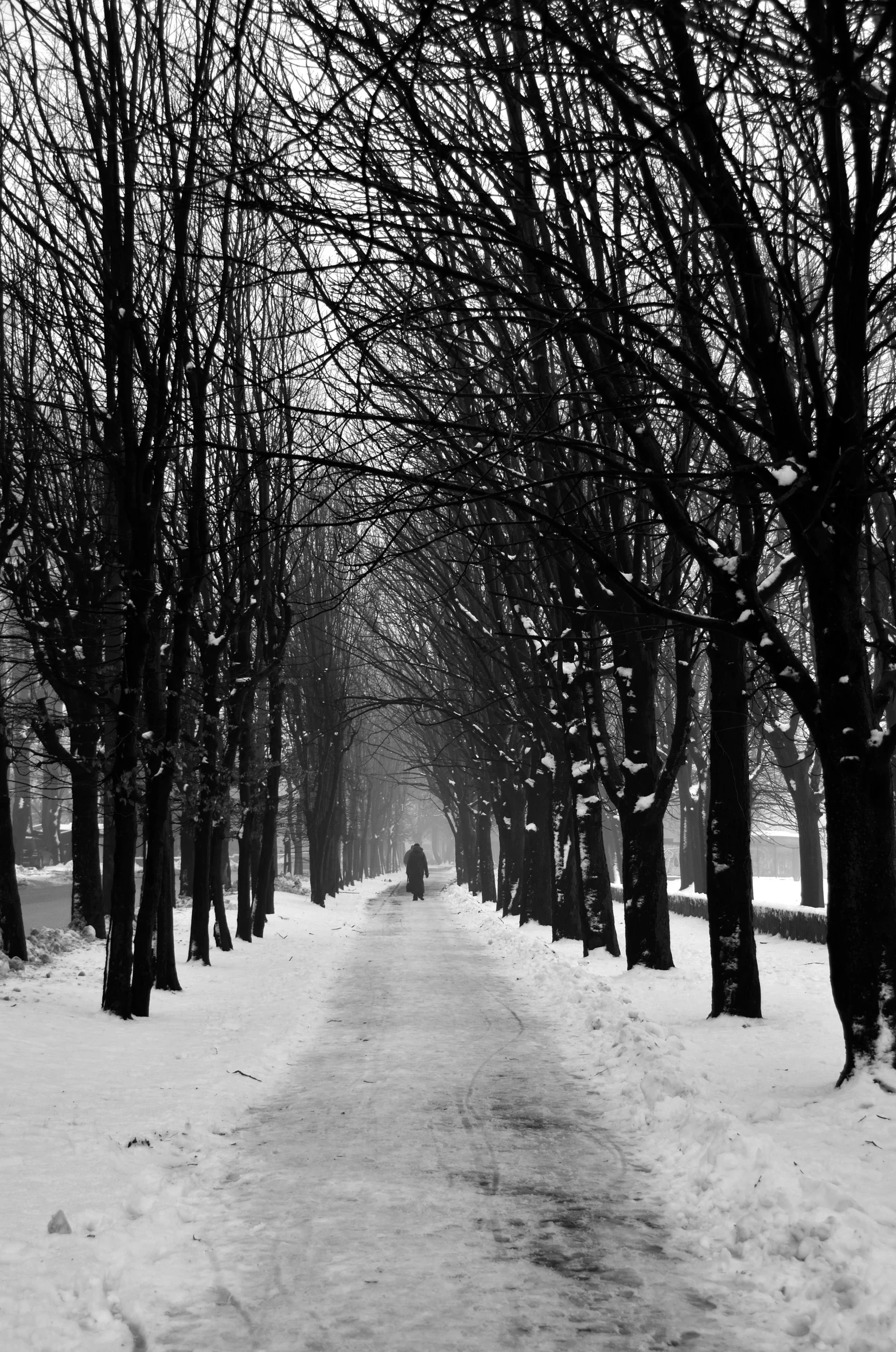 black and white po of snow in park