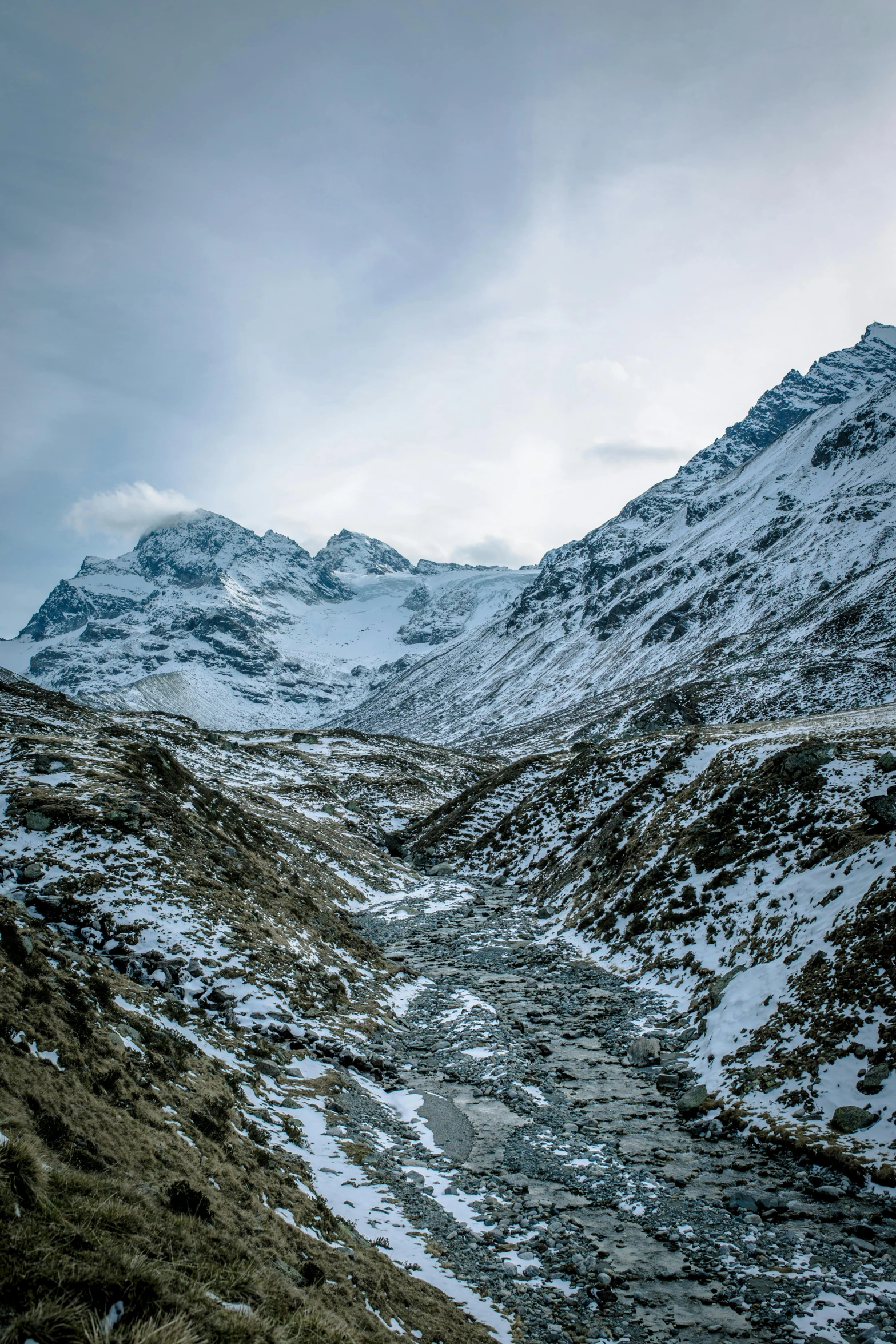 a mountain side with snow on the mountains and grass growing on it