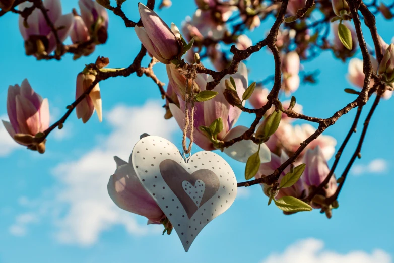 hearts shaped like flowers hanging from a nch