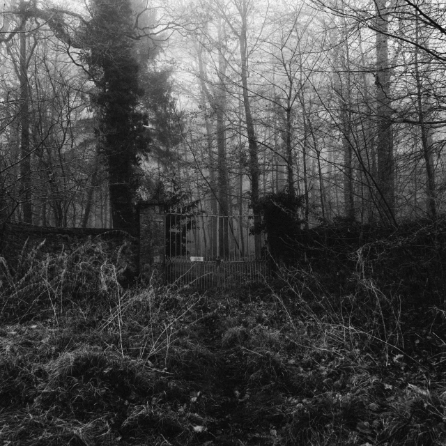 a gate is in the middle of a wooded area