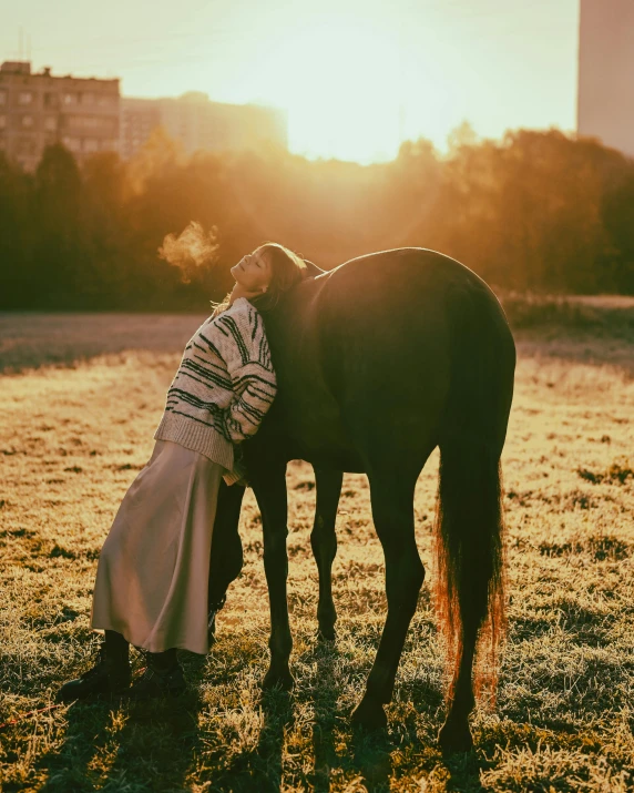 a woman stands beside a large horse while the sun sets