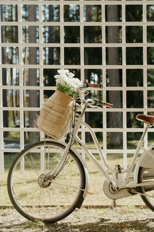 a bicycle with a basket is standing up