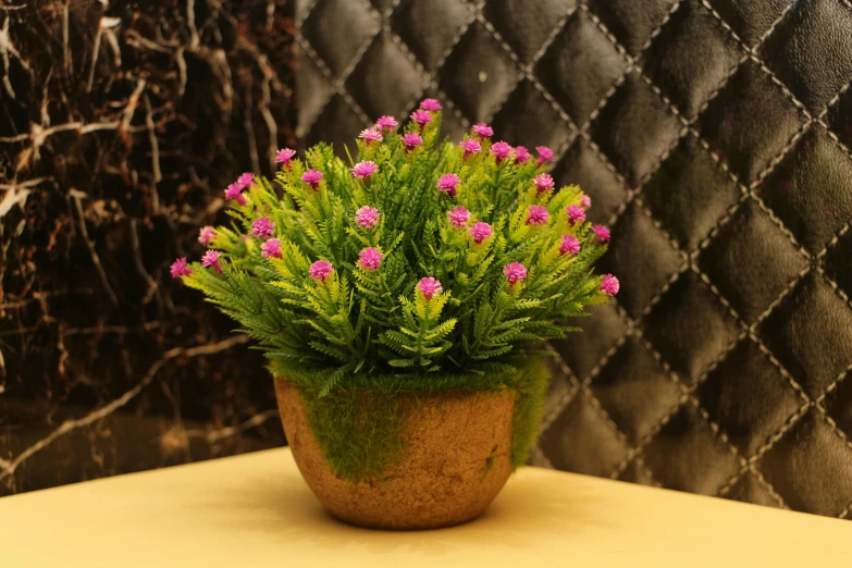 the pink flowers are in the small pot