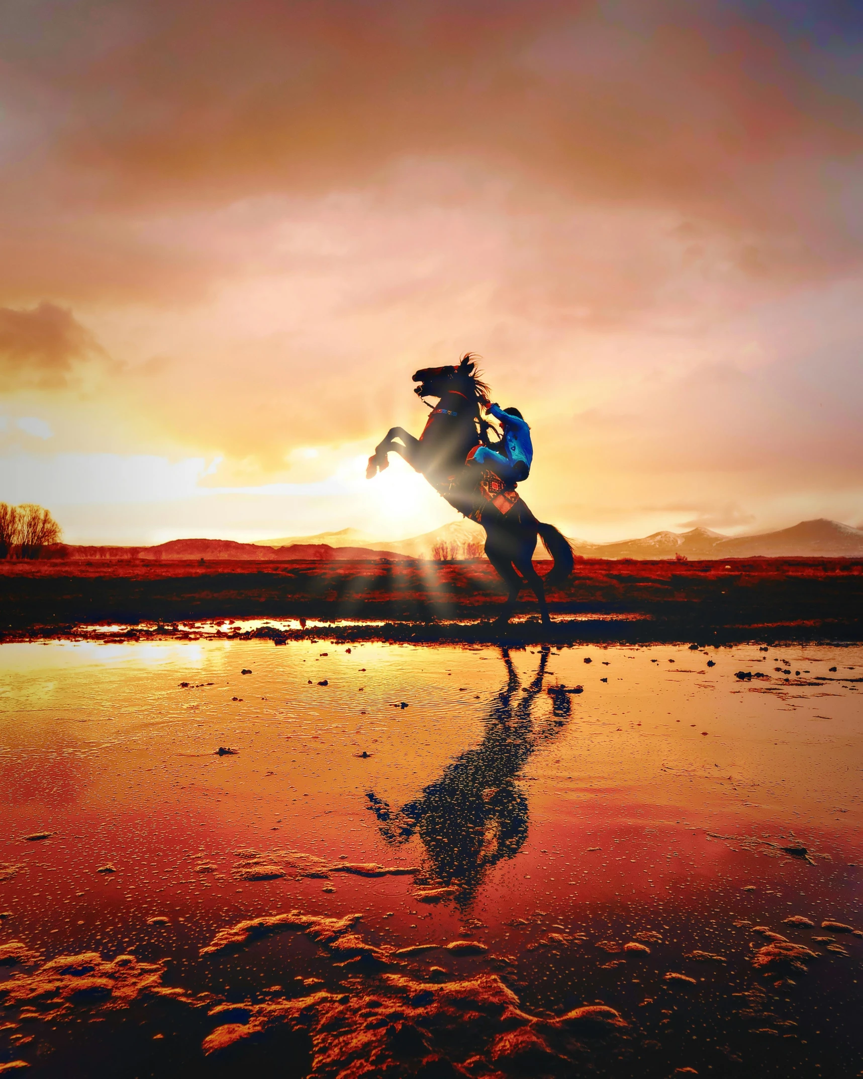 a horse is standing on its back legs in the water