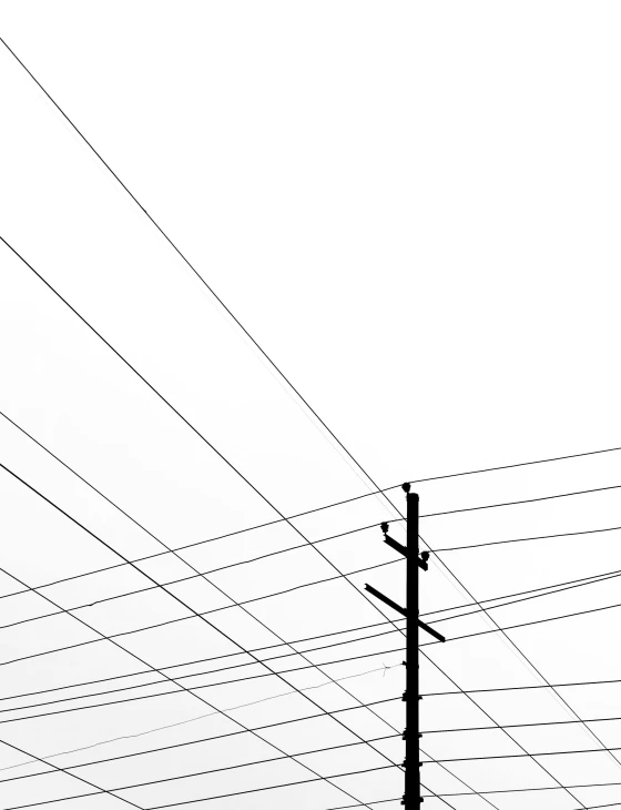 black and white po of electric poles in the sky