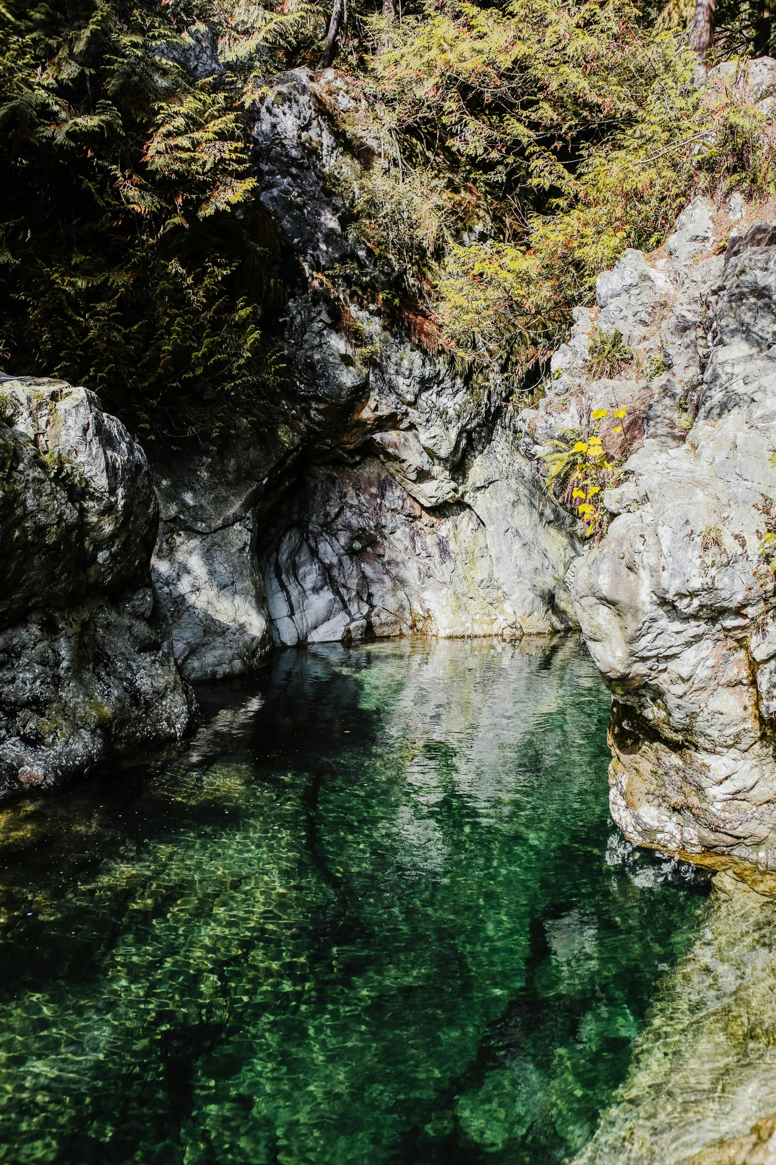 the green river is clear and blue in the woods