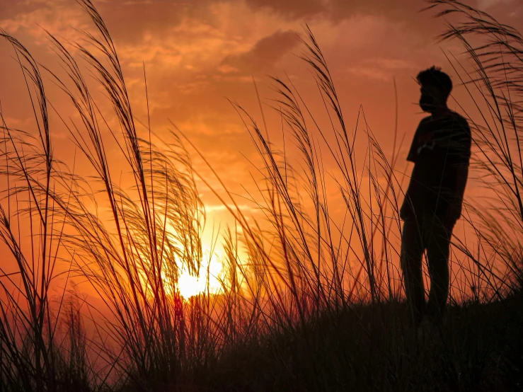 a man standing on a hill near a grassy field