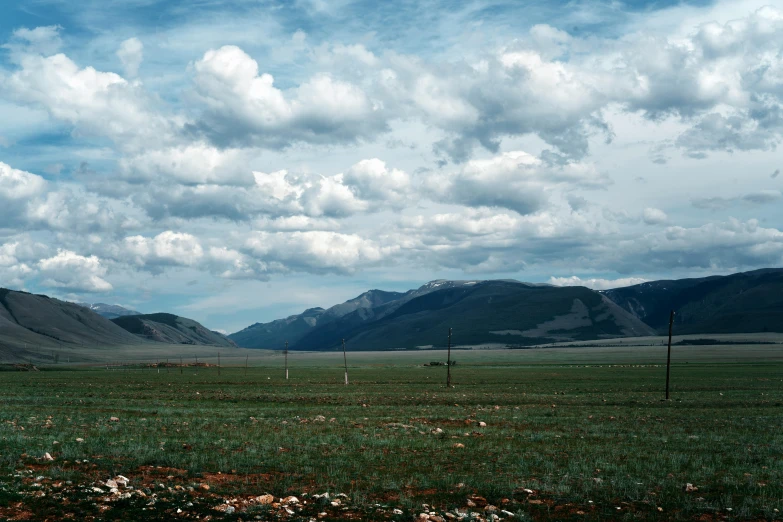 a grassy landscape on a clear day with mountains in the distance