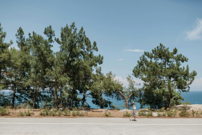 a person riding on top of a motorcycle next to a forest