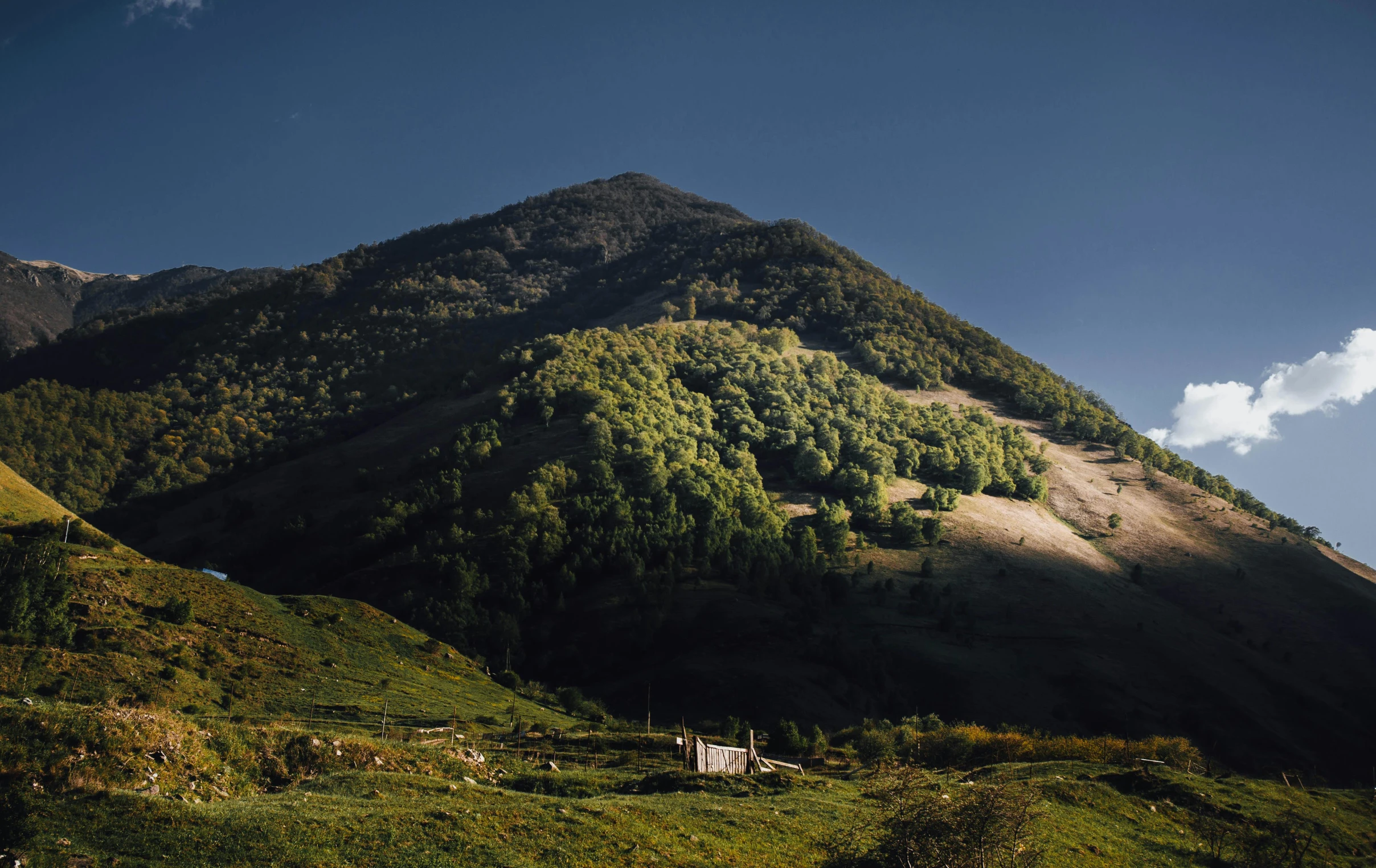 green hills are dotted with sp vegetation under a blue sky