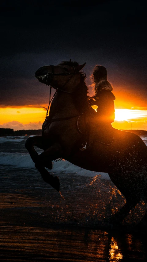 a silhouette of a horse and rider on a beach at sunset