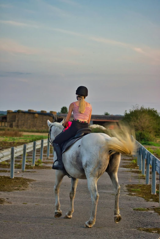 woman on horseback approaching a gate with trees in the background