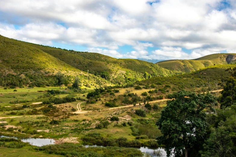 a scenic green valley with some trees and grass