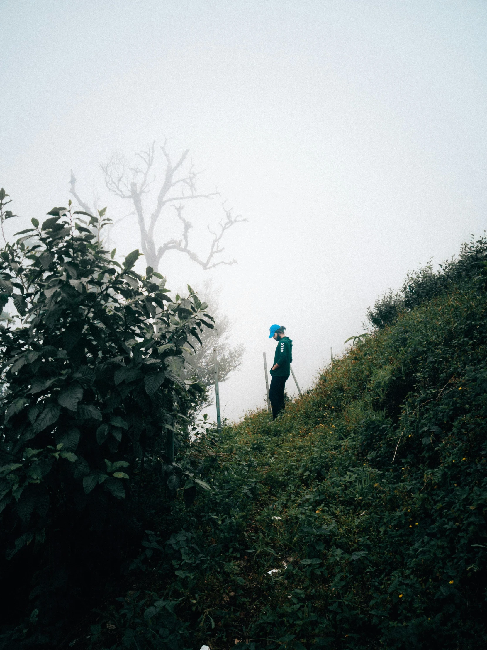 the person walking down the hill is carrying an umbrella