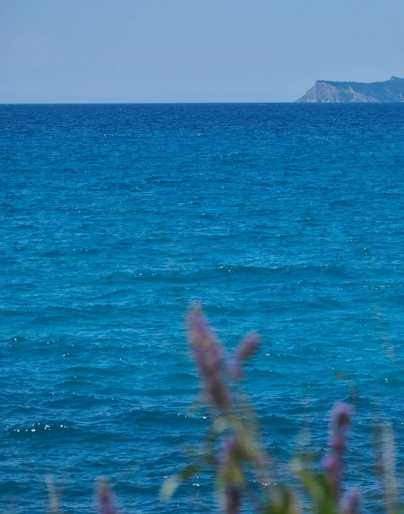 a sail boat with a small island in the background