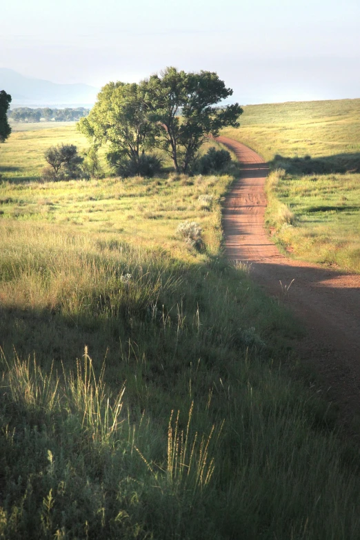 this is a po of the road in the country