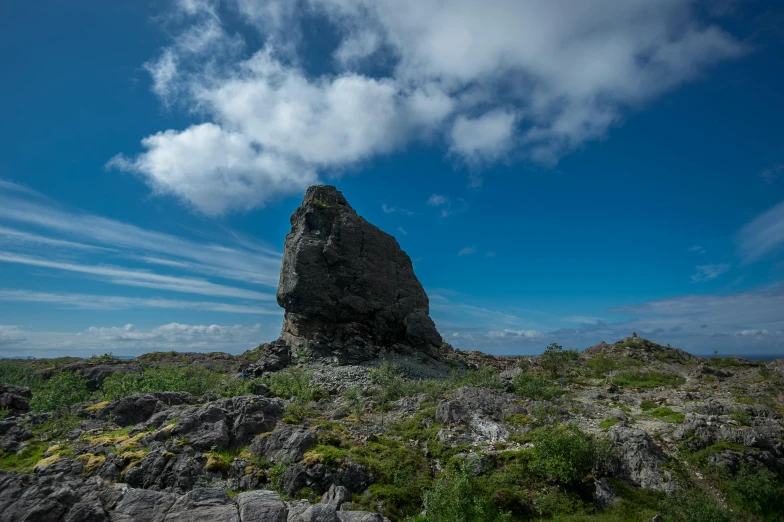 a large rock out on a hill with green plants