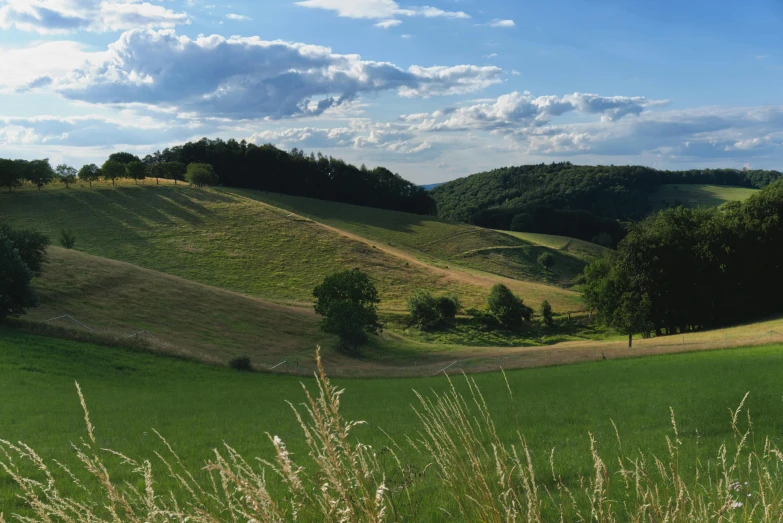 a field with trees and clouds in the background