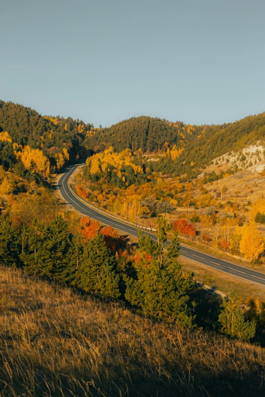 a long curving road that is in the middle of an area with many trees