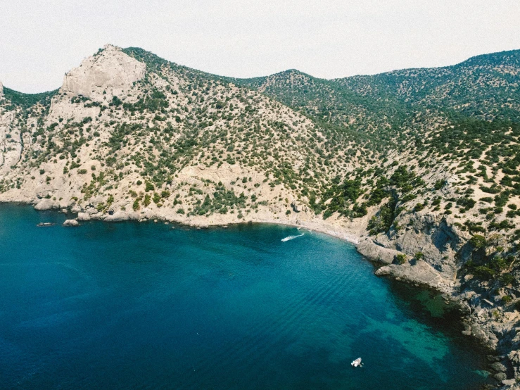 aerial view of a beautiful landscape and bay with water and trees