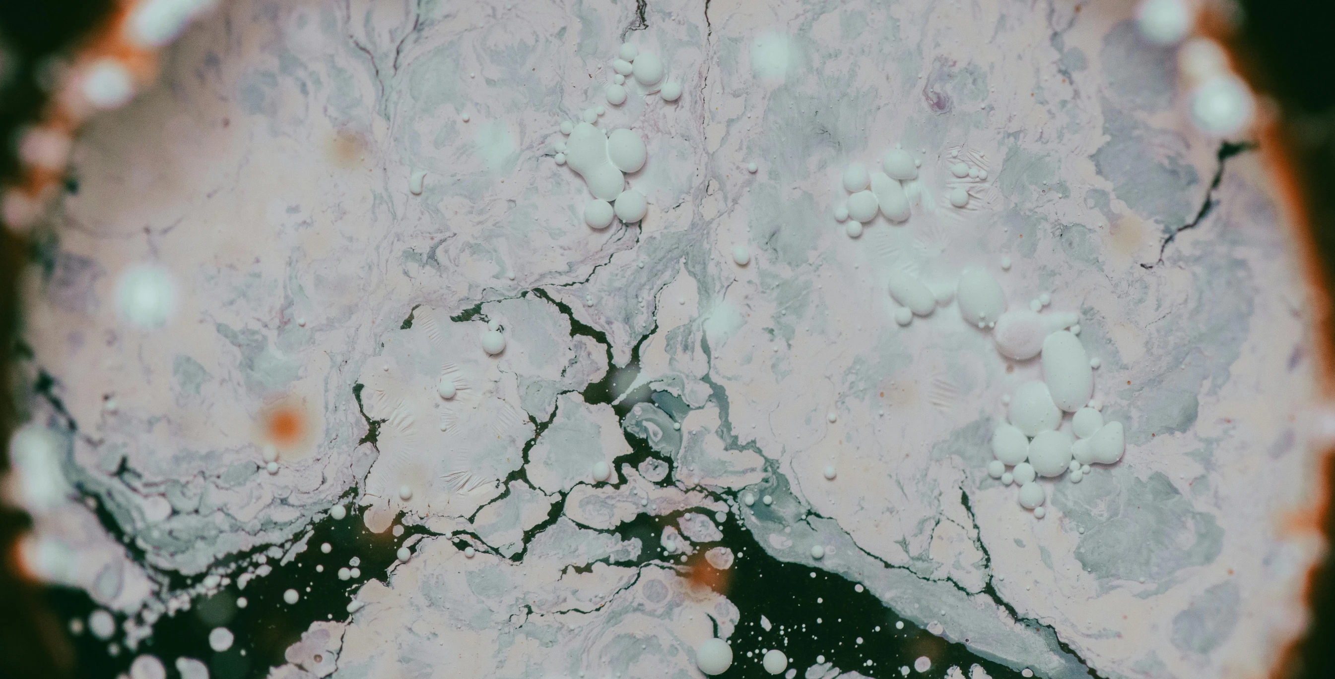 a close - up of an image of rocks with water