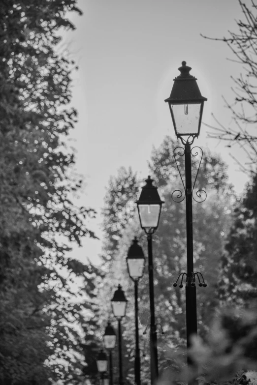 a long row of light poles on a dark road