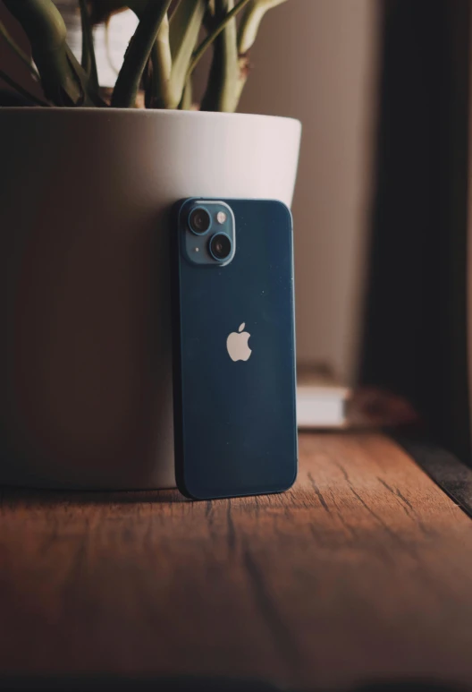 an iphone in a blue case with a potted plant in the back