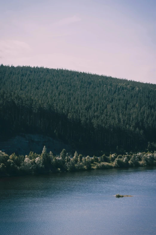 two boats floating down a river in front of a forest