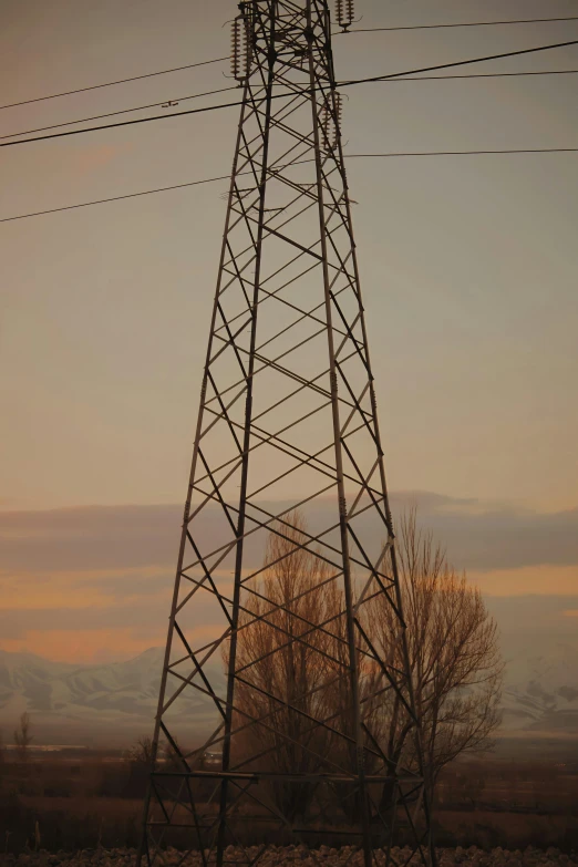 high power line tower with a sunset and tree