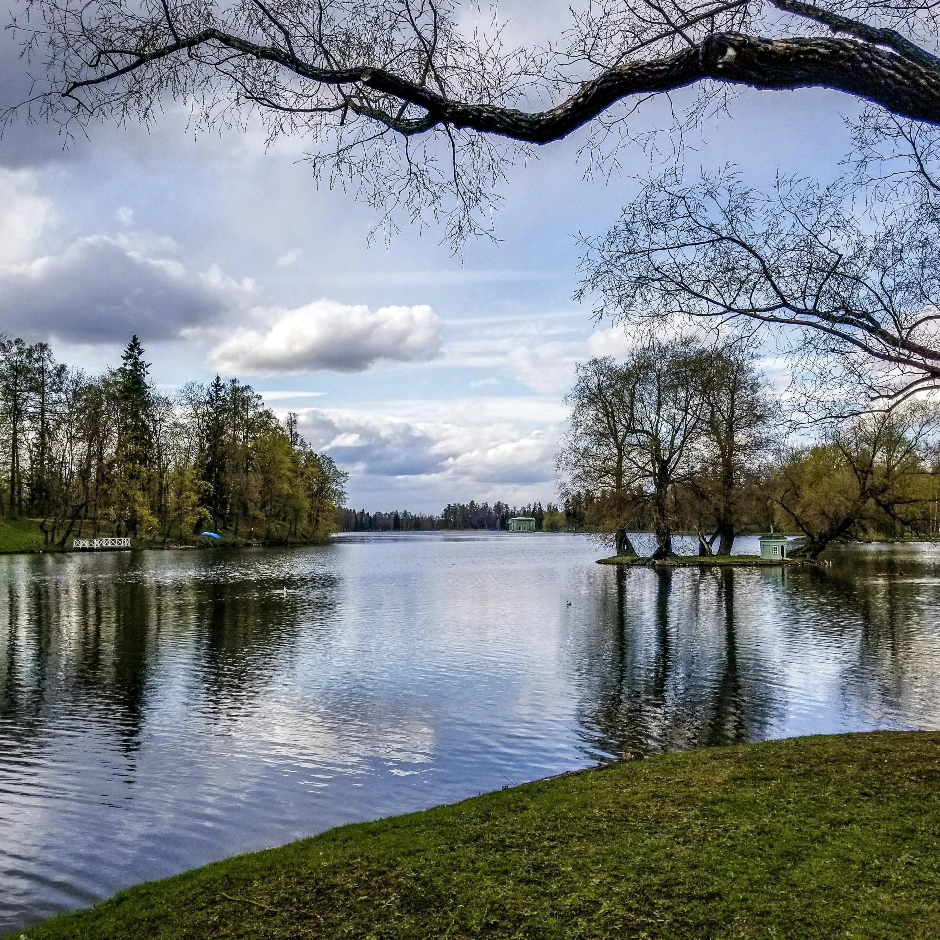 the trees in the park are close to the water