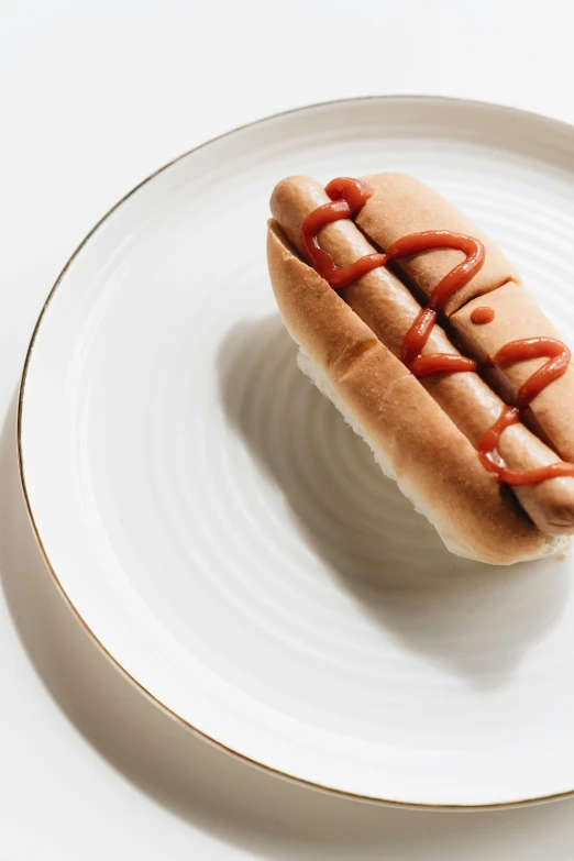 a  dog with ketchup on it sitting on a white plate